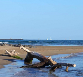 Studio à la Plage